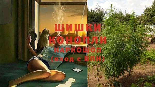 спайс Михайлов