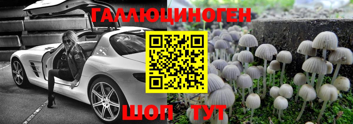 Псилоцибиновые грибы прущие грибы Соликамск