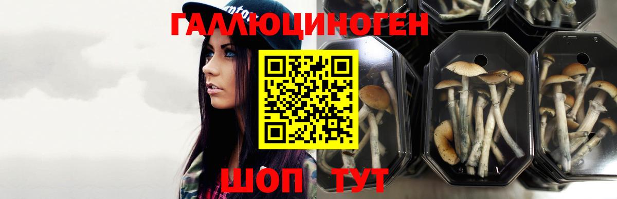 Псилоцибиновые грибы Cubensis  Соликамск  Псилоцибиновые грибы Magic Shrooms 
